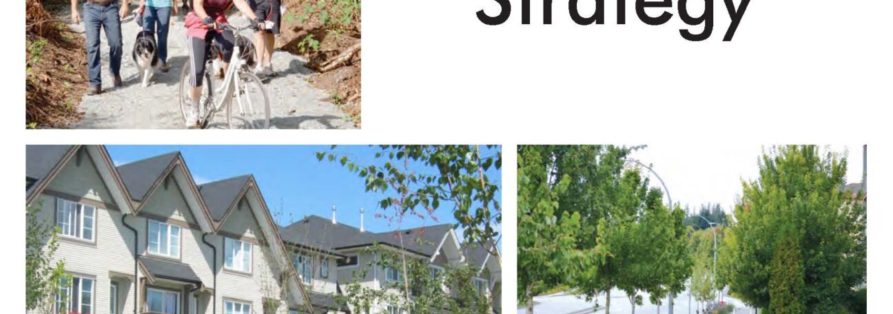 Township of Langley Age-friendly Strategy