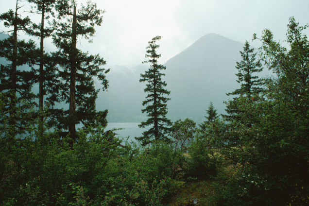 Strengthening Federal Leadership in Emergency Management: Submission to Public Safety Canada