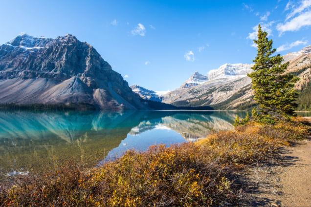 CIP Responds to the Draft 2026-2029 Federal Sustainable Development Strategy
