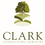 Clark Consulting Services
