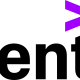 Accenture Infrastructure and Capital Projects, Inc.